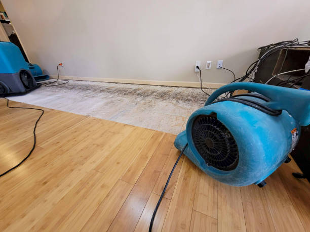 Professional Structural Drying technician working in Cleveland, TX